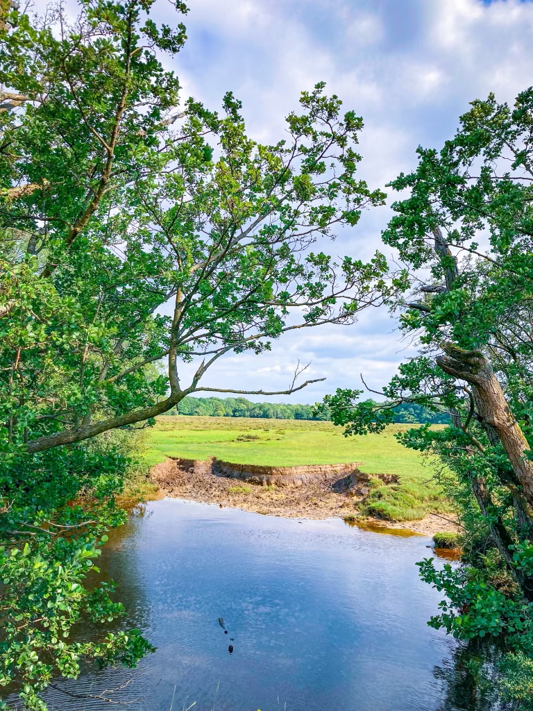 A shallow stretch of the Beaulieu River, banked by the heathland of Deerleap Inclosure