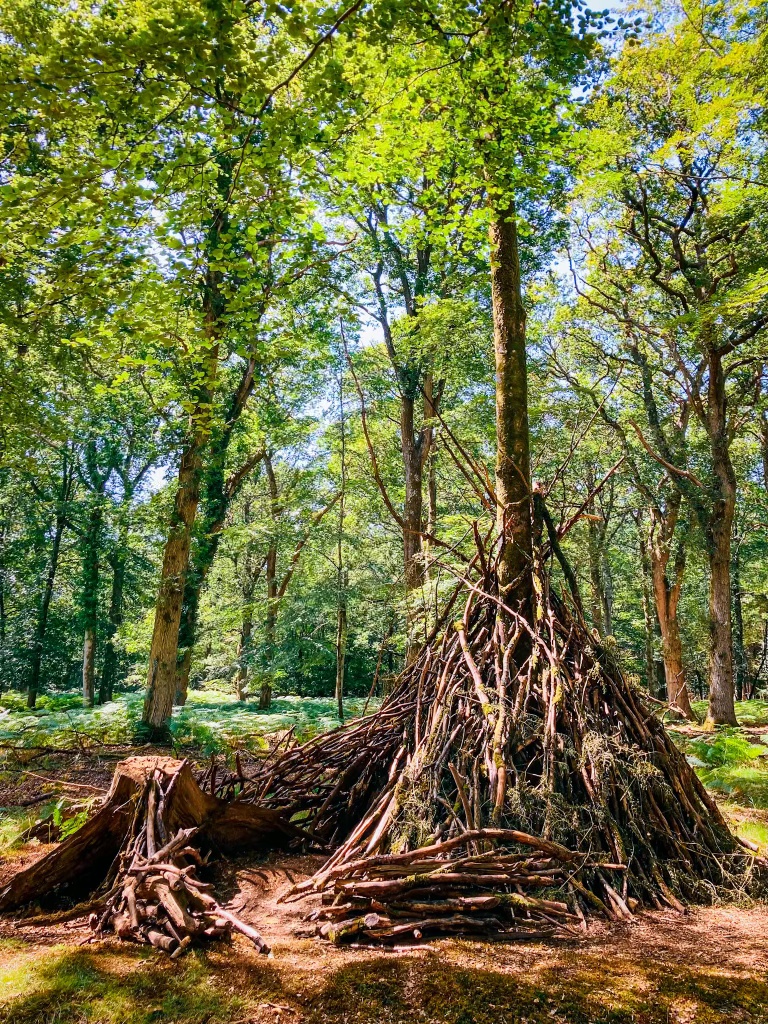 A makeshift wooden shelter built by sticks found in the Blackwater Arboretum, New Forest National Park