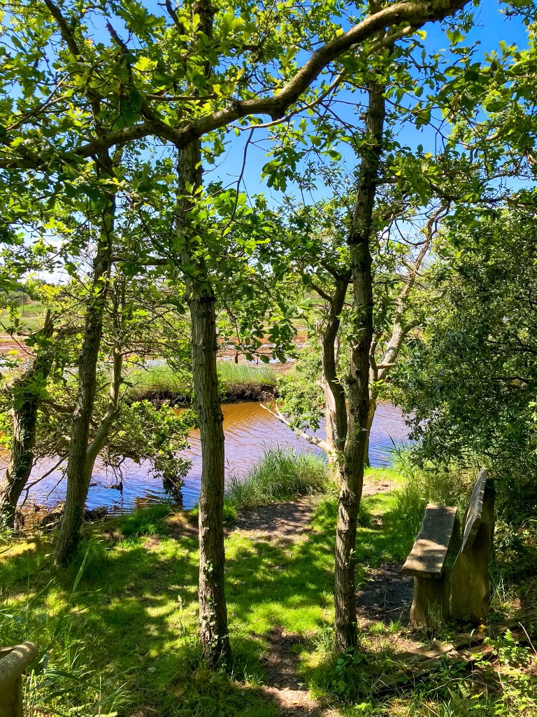 A secret, hidden spot in the Lepe Country Park, a secluded bench overlooking the wetlands and marshes.
