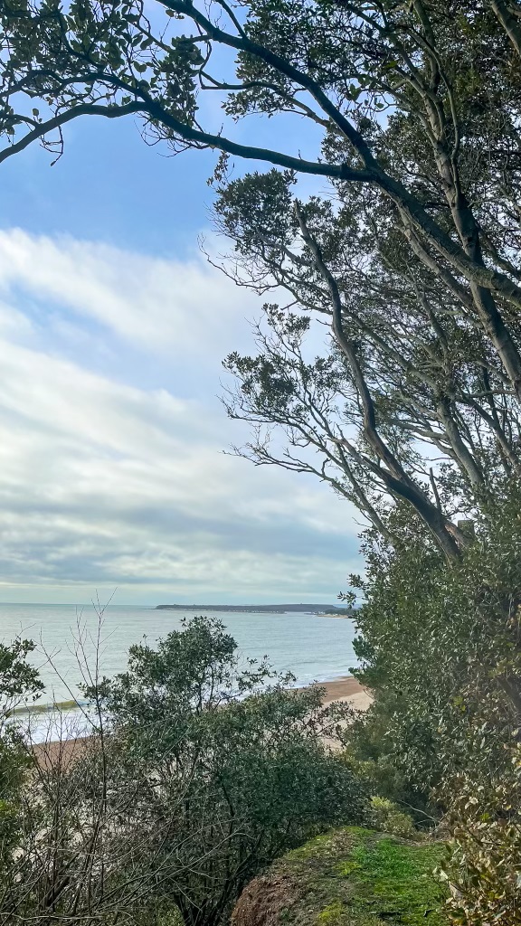 Views from the cliffs of Steamer Point Nature Reserve, where forest meets sandy beaches in the New Forest National Park.