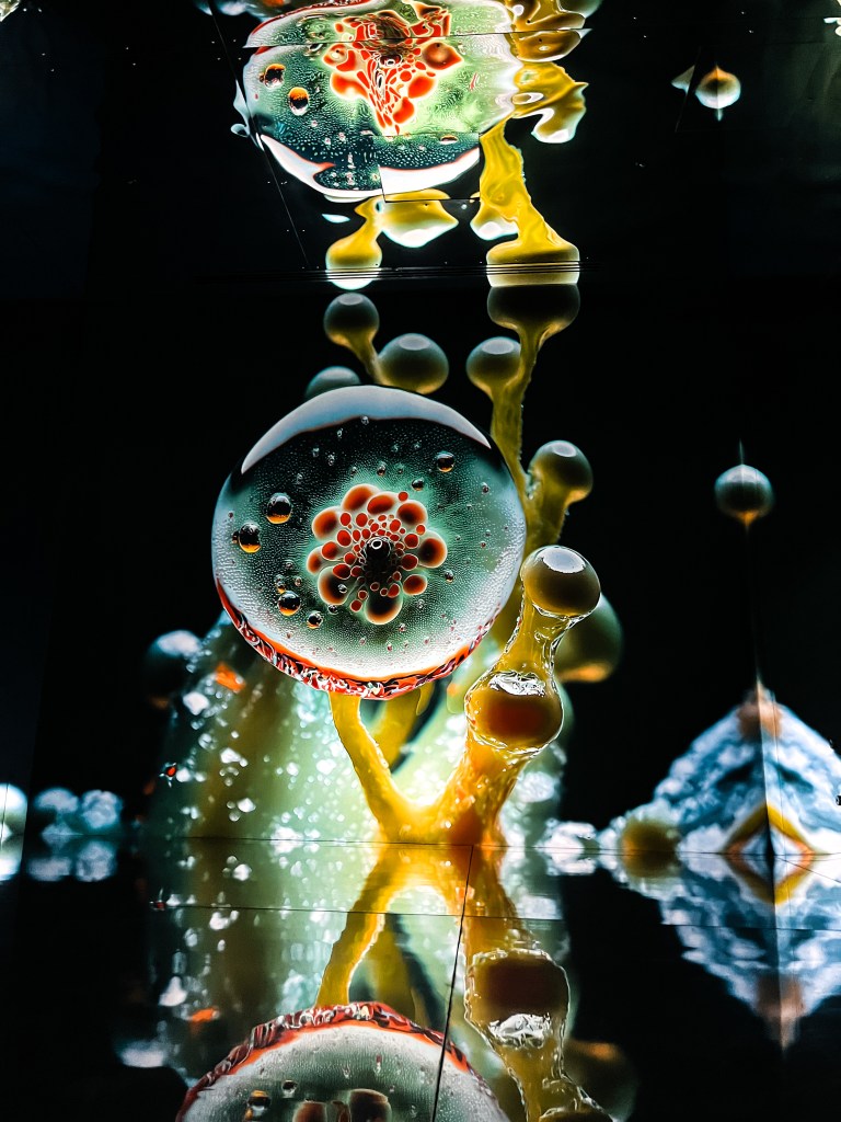 One of the amazing art installations at the Latent Spaces immersive art exhibition, Illusionaries, London